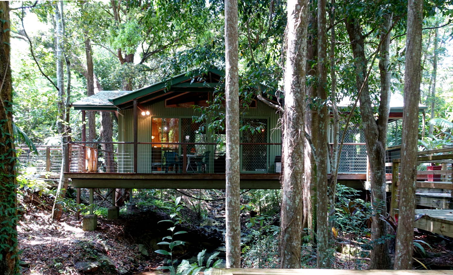 Treetops Montville Rainforest Cabins